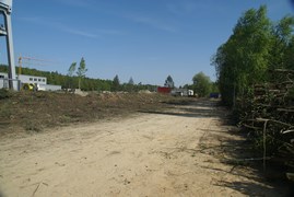 Wycinka drzew Wrocław