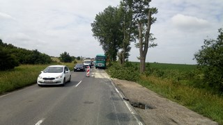 Wycinka drzew Wrocław