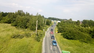 Wycinka drzew Wrocław