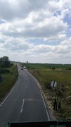 Wycinka drzew Wrocław