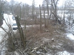 Wycinka drzew Wrocław