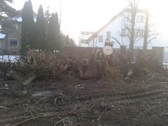 Wycinka drzew Wrocław