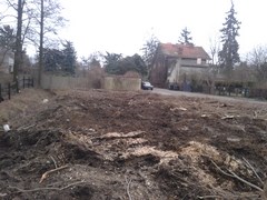Wycinka drzew Wrocław