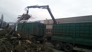 Wycinka drzew Wrocław