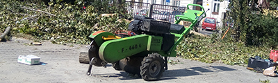 Frezowanie pni