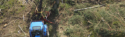 CUTTING FOR INDUSTRIAL INVESTMENT THAT INCLUDED DIGGING OUT THE ROOTS