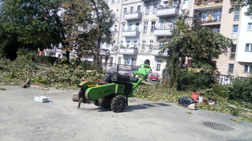 Wyrwidąb Wrocław